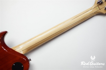 PE-480 - See-through Black Burst